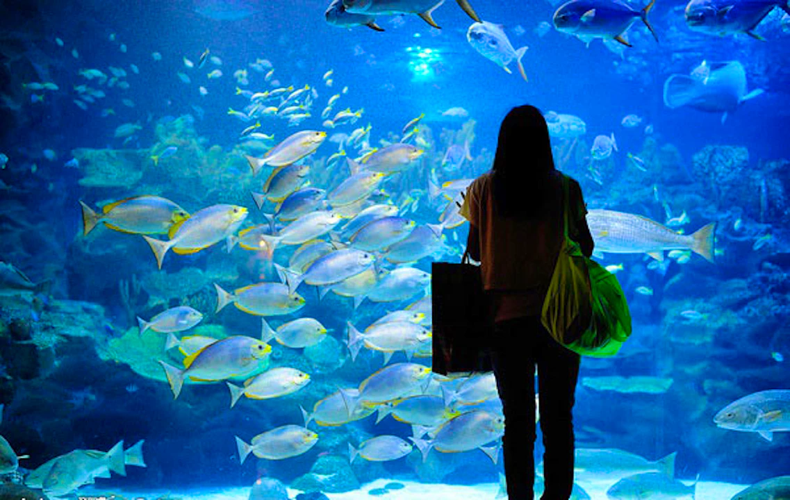 aquaria klcc kuala lumpur